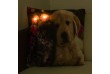 Dekorativní polštář s LED osvětlením, Kočka a pes, 38x38 cm