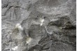 DIVERO umyvadlo z přírodního kamene - černý mramor