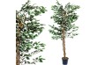 PLANTASIA Umělý strom fíkus, 160 cm