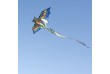 Létající drak 67 x 25 cm - DRAK