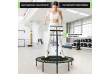Physionics Fitness trampolína na doma i ven,101 cm, zelená